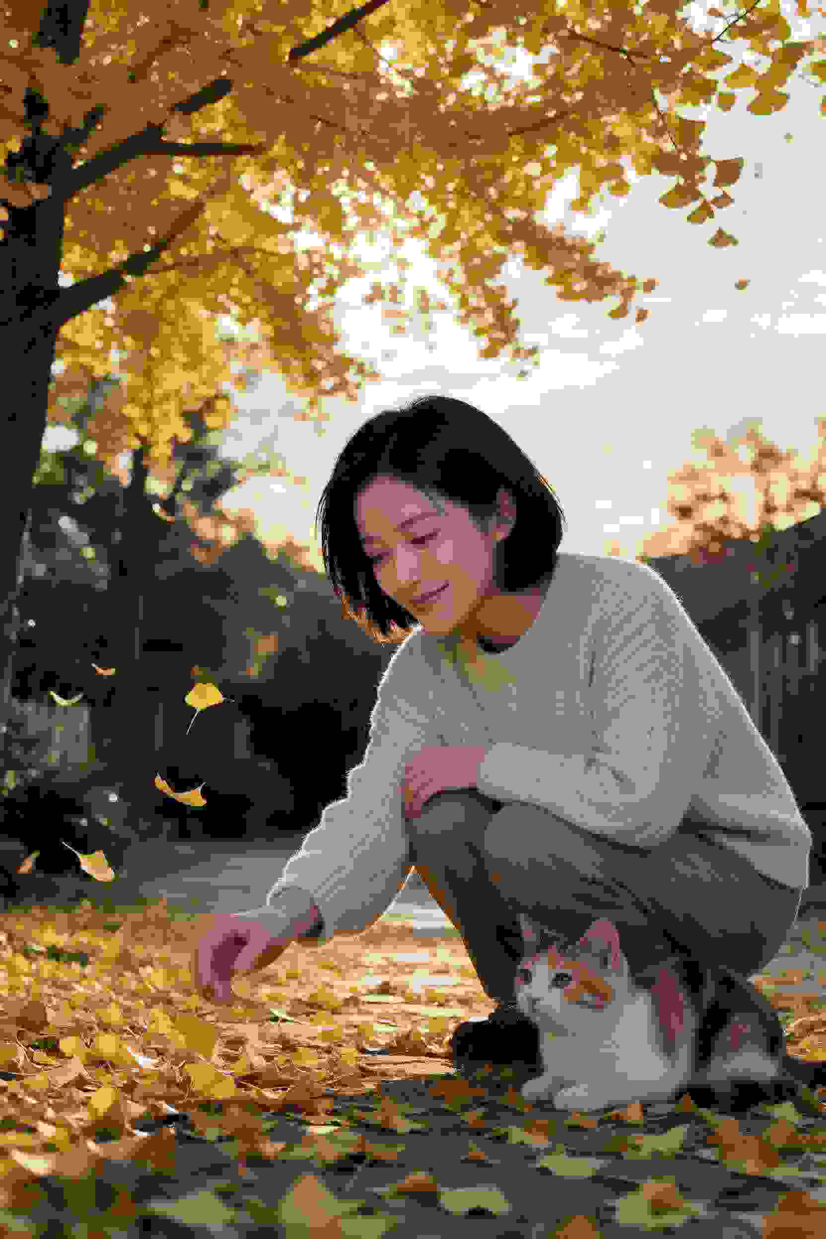黑子的篮球